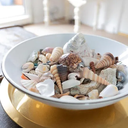 Salty Waves Noordwijk Dichtbij Strand Boulevard En Winkels Parkeren Is Inclusief Apartment *